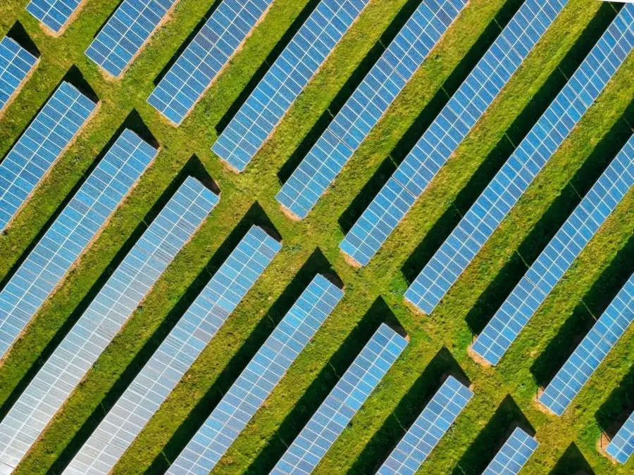 Industrielle Solarpaneele in mehreren Reihen auf einer grünen Wiese.
